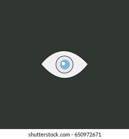 Eye icon flat design illustration.