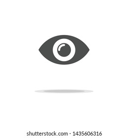 Eye icon in gray color isolated on white background