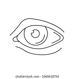 Eye icon. Outline eye vector icon for web design isolated on white background