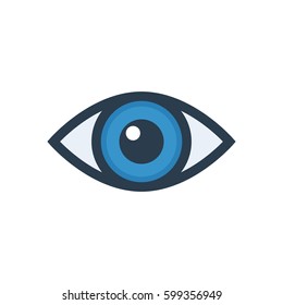 Eye icon. security concept. Vector illustration isolated on white background