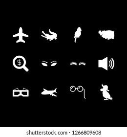 eye icon set about glasses, crocodile, eyelashes and volume vector set