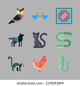 eye icon set. vector set about hen, pigeons, lemur and black cat icons set.