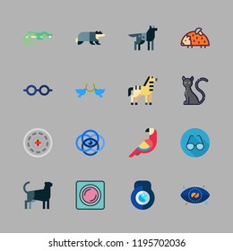 eye icon set. vector set about badger, wolf, pigeons and vision icons set.