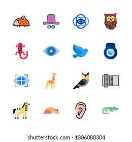 eye icon set. vector set about crocodile, eye tracking, giraffe and hamster icons set.
