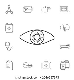 Eye icon - vector. Detailed set of medicine outline icons. Premium quality graphic design icon. One of the collection icons for websites, web design, mobile app on white background