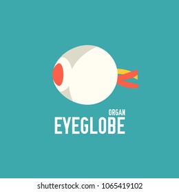 Eye icon vector. Eye sign on white background. Eye icon for web and app