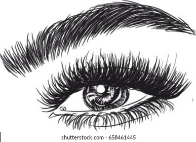 Eye Illustration with long eyelashes
