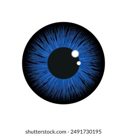 Eye iris in blue color