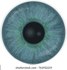 Eye iris -  Realistic vector - Eye iris vector texture - Blue