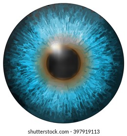 Eye iris vector texture