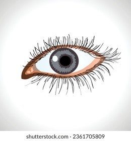 eye isolated vector illustration on white background