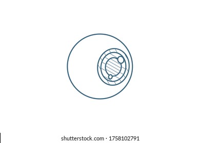 eye isometric icon. 3d vector illustration. Isolated line art technical drawing. Editable stroke