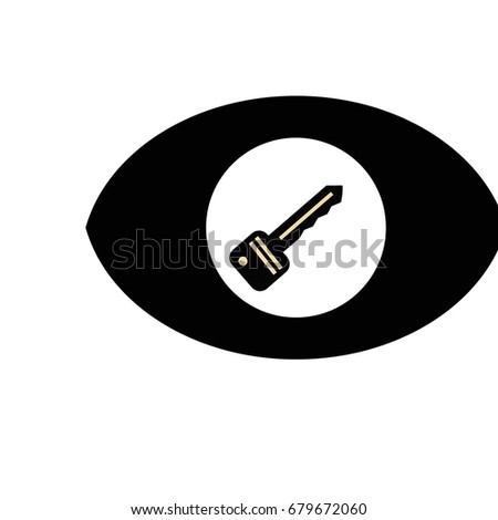 eye and key icon flat design