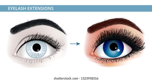 Eye lash extension realistic illustration. Fresh dark blue woman's eyes. Idea for business visit cards. Print for t -shirt. Vector illustration