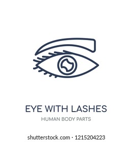 Eye with lashes icon. Eye with lashes linear symbol design from Human Body Parts collection.