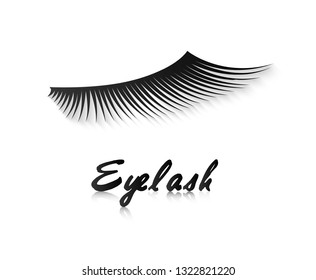 Eye lashes vector icon or logo. Lashes vector