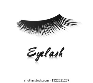 Lashes Vector Images, Stock Photos & Vectors | Shutterstock