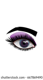 Eye, lid and brow