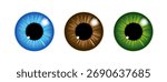 Eye logo iris pupil icon. Flat health hospital ophthalmologist eye logo.