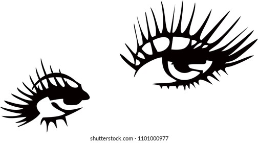 Eye with Long Eyelashes