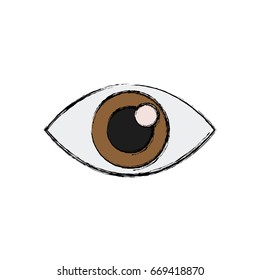 eye look watch vision optic icon