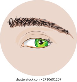 Ojo mirando a través de un agujero en un papel, elemento para el diseño, Ilustración vectorial