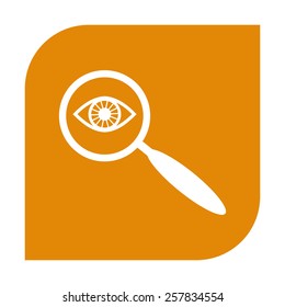 Eye in magnification.