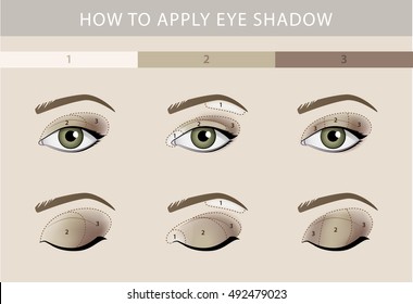 Eye makeup template vector