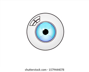 An eye on a white background