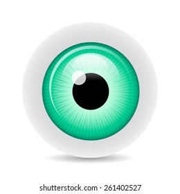 Eye on white background with shadow  vector illustration