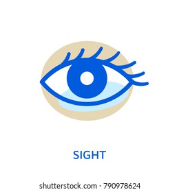 Eye. Organ of sense. Sight, vision icon. Vector illustration or symbol isolated on white.