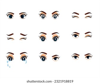 The eye is the organ of vision. The eyes detect light and convert it into electrochemical impulses in nerve cells. In higher organisms