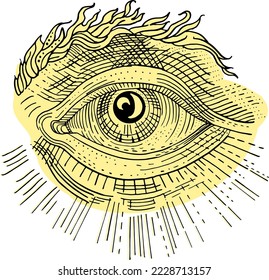 Eye of Providence. All-seeing eye with rays of light. Masonic, Illuminati, religious, esoteric, occult symbol. Medieval vintage engraving tattoo style illustration. Alchemy, religion, spirituality.