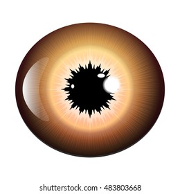 eye, pupil, iris, vector symbol icon design. Beautiful illustration isolated on white background