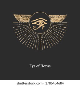 Eye of Ra, vector illustration in engraving style. Vintage pastiche of esoteric and occult sign. Drawn sketch of magical and mystical symbol.