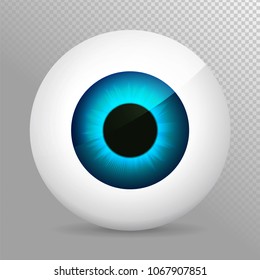 Eye. Realistic 3d eyeball vector illustration. Real human iris,pupil and eye sphere. Icon on transparent background. Isolated macro color eyeball. Character eyes design. Circle anatomy close up