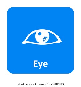 Eye with reflection vector icon for web and print