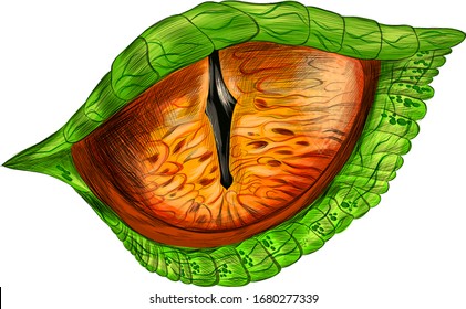 eye of a reptile crocodile evil cartoon science fiction vector illustration