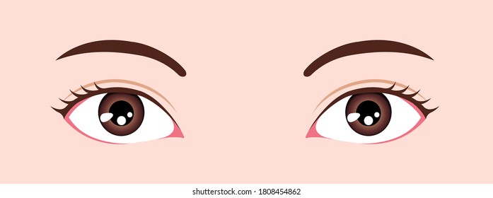 Augenformen (Augenbrauengröße und -position), Vektorgrafik
