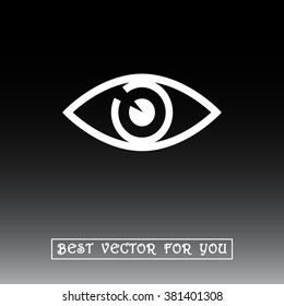 Eye sign icon, vector illustration. Flat design style