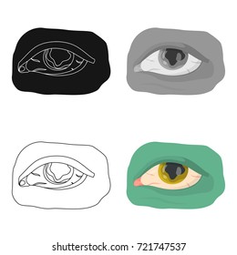 Eye single icon in cartoon style.Eye, vector symbol stock illustration web.