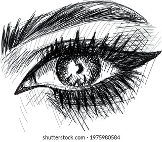 Eye sketch art   Vector  illustration