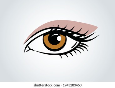 Eye structure, good for animation, good for brochure element, logo eye related. eye test. super eyelash. good vision . female eye with fashion  
