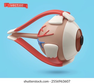 Eye structure, medical illustration 3d render vector icon