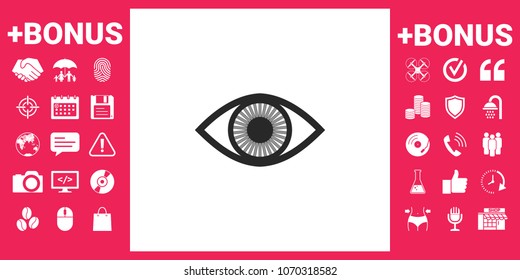 Eye symbol icon with iris