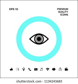 Eye symbol icon with iris
