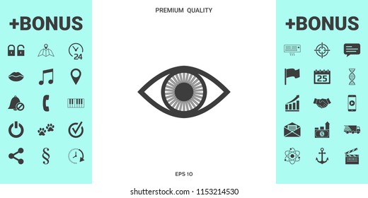 Eye symbol icon with iris