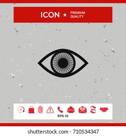 Eye symbol icon with iris
