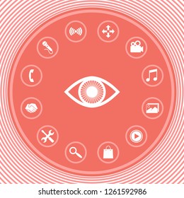 Eye symbol icon with iris. Graphic elements for your design