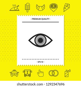 Eye symbol icon with iris. Graphic elements for your design